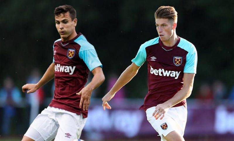 蓬勃发展 蓬勃发展